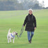 Dog Training Collar with 4 Extra Links for Medium, Large and X-Large Dogs (Blue)