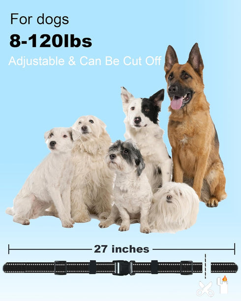 Collar Replacement Strap for Bousnic, Delupet, Patpet, Jugbow, Dogtra, Dog Care, Sportdog Training Collars