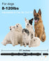 Collar Replacement Strap for Bousnic, Delupet, Patpet, Jugbow, Dogtra, Dog Care, Sportdog Training Collars