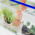 Aquarium Plants Fixed Ring, 12pcs Ceramic Weights for Floating Planting Holder, Fish Tank Decoration