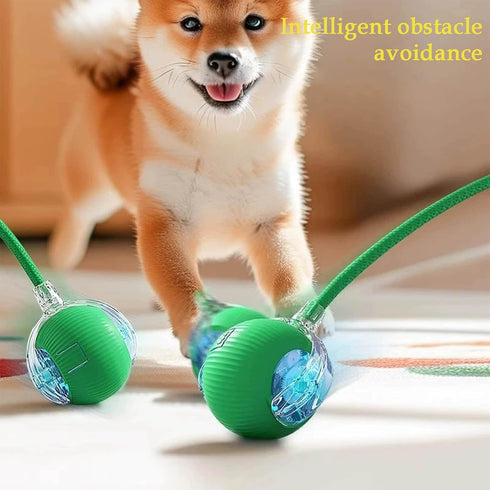 2 PCS Interactive Cat Toy Rolling Ball Chewie Viral Dog Ball, Smart Automatic Rolling Pet Balls,Automatic Moving