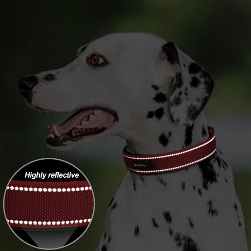 PetiFine Neoprene Padded Dog Collar - Heavy Duty Comfort Collar with Durable Metal Buckle, Reflective for Small Medium