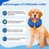 Blue Inflatable Cone Collar for Medium Dogs