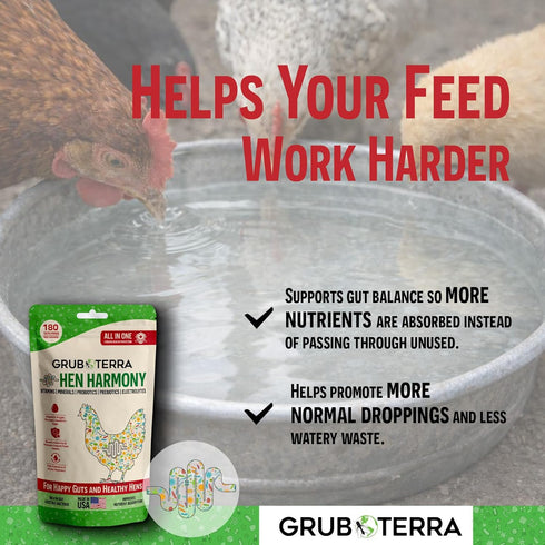 180 GrubTerra Hen Harmony All-in-One Chicken Electrolytes for Water with Probiotics & Prebiotics, Daily Gut Supplement