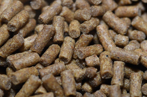 Sinking Pellets Aquarium Shrimp Food - Complete Nutrition for Tropical Shrimp, Snail, Bottom Feeders
