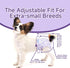 (50Count, MICOOYO Disposable Dog Diapers Female, Doggie Diapers for Dogs Female, Super Absorbent Pet Diaper with Foam