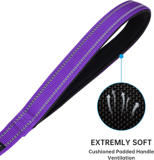 EXCELLENT ELITE SPANKER Reflective Dual Dog Leash, 5FT Multiple Dog Leash with Padded Handle for Two Dogs Walking