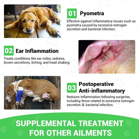 3 2 Oz Milk Thistle for Dogs - Liver & Kidney Support, Natural Detox & Hepatic Health, with Wild Alaskan Salmon Oil