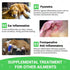 3 2 Oz Milk Thistle for Dogs - Liver & Kidney Support, Natural Detox & Hepatic Health, with Wild Alaskan Salmon Oil