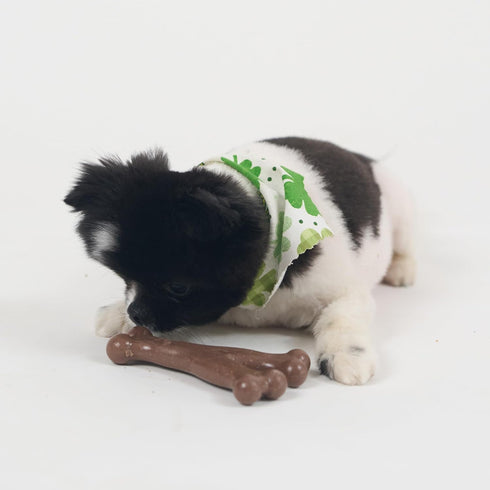 SPOT Bam-Bones Wishbone Dog Chew - Durable Bamboo Fiber Toy for Light to Moderate Chewers, 5.25in, Bacon Flavor