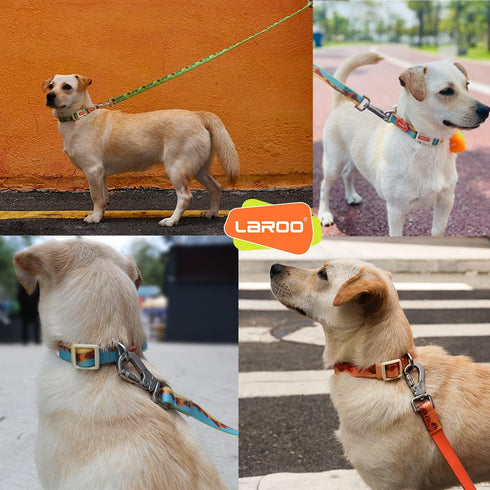 LaRoo Waterproof Dog Collar, Heavy Duty PVC Pet Collars for Training, Cool Design for Outdoor Playing