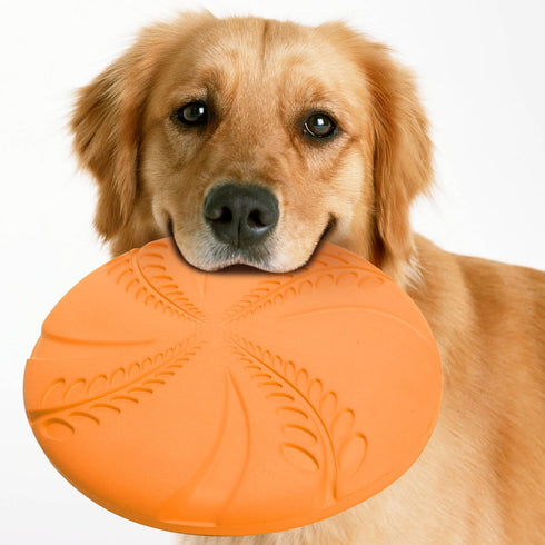 Nobleza 2 Pack Dog Flying Disc - Interactive Flyer Toys for Small, Medium, Large Dogs, Durable Outdoor Disc Toy