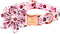 Lionheart Glory Dog Collar - Pink Flower Collar for Female Dogs, Adjustable Cute Patterns for Small Pet Gift
