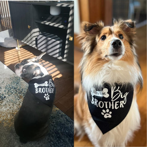 Big Brother Dog Bandana - Reversible Triangle Bibs Pet Scarf