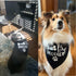 Big Brother Dog Bandana - Reversible Triangle Bibs Pet Scarf
