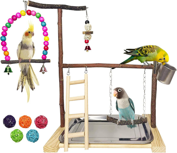 Bird Playground Parrot Playstand Parakeet Gym Playpen Cockatiel Play Stand Wood Perch
