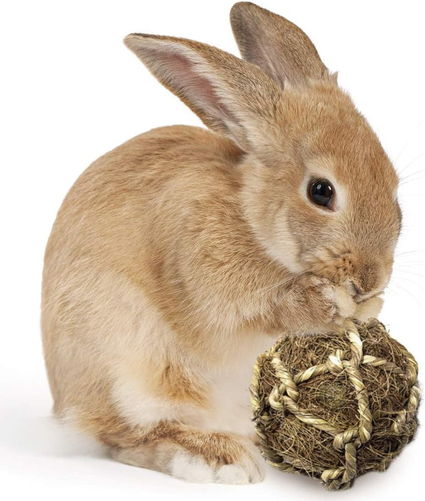 SunGrow Dental Floss Fiber Ball for Rabbit, Cat, Dog, Cleans Teeth, Grinding Treats for Chinchilla, Hamsters, Gerbils
