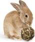 SunGrow Dental Floss Fiber Ball for Rabbit, Cat, Dog, Cleans Teeth, Grinding Treats for Chinchilla, Hamsters, Gerbils