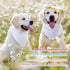 100 White(24.4 16.54 Inch) Kacctyen Pcs Sublimation Blank Dog Bandanas Heat Transfer Washable Triangle Scarf DIY