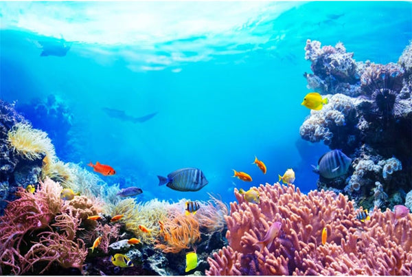AWERT 72x18 inches Colorful Coral Underwater Aquarium Background, Tropical Fish Fish Tank Vinyl World.
