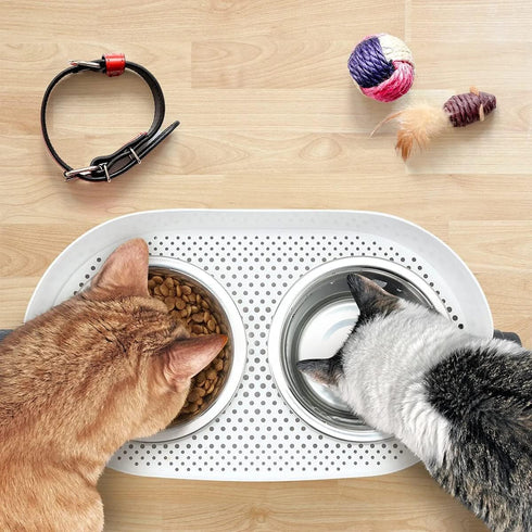 All for Paws Height Adjustable Cat Elevated Bowls - Stainless Steel Dog Food Water Bowls, Mess Proof Pet Feeding Bowls