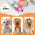 Chenkou Craft 50pcs Puppy Yorkie Dog Hair Bows with Clips, Pet Grooming Accessories, Mix Colors