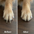 Dovbuqu 2 12 Trimming Dog Nail File, Nail File for Dogs with Dog Nail File Board and Dog Scratch Board, Complete Pet