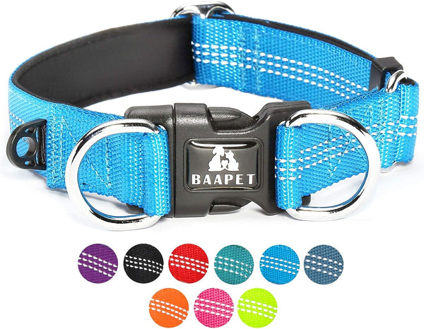 BAAPET Comfortable Dog Collar with Double Security Dual D-Ring and ID Tag Hanger for Small, Medium, Large Dogs (XS -