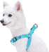 Blueberry Pet Essentials Step-in Dog Harness, Small Size, Adjustable Turquoise Vest, Chest Girth 16.5" - 21.5"