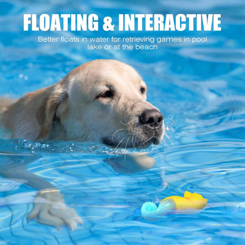 Dog Toy Floating Luminous, Squeaky Dog Toy, Glow in The Dark, for Small Dogs (Kit Small Seahorse+Small Starfis)