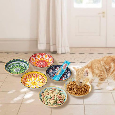 5.5 inch Wide Shallow Cat Food Bowl Set for Whisker Fatigue Relief, Ceramic, 6 Colorful Cute Dishes, 8 oz