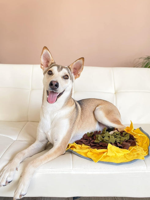 19 19, Snuffle Mat for Dogs Sunflower, Large Dog Snuffle Mat x Plush Enrichment Toy Slow Feeder, Mental Health Puppy