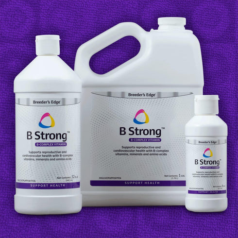Revival Animal Health Breeder's Edge B Strong - B Vitamin, Iron, Mineral Supplement for Pets, 8 oz