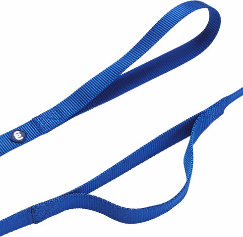 Blueberry Pet Essentials Double Handle Dog Leash for Traffic Control | 5ft. x 3/8" X-Small Dog Leash | Classic Dog Leash with Two Handles for Dogs That Pull | Nylon 2 Handle Dog Leash in Royal Blue