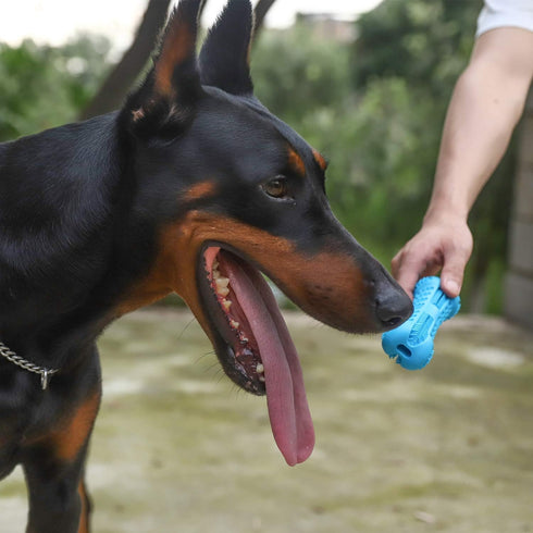 Dog Toothbrush Care Cleaning Stick - Dog Toothbrush Chew Toy Stick for Dog Dental Care- Safe, Bite Resistant Natural