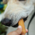 yaky CHURRO Himalayan Cheese Treats, Lactose Free, Gluten Free, Grain Free, 10 inch Churro