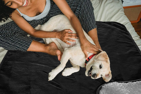 30"×40" Waterproof Dog Blanket, Thick Reversible Soft Pet Blankets for Couch Bed Protection, Washable Sherpa Fleece