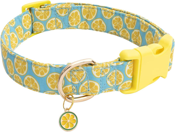 Faygarsle Cute Dog Collar with Lemon Design, Ideal Yellow Green Summer Collar for Small Medium Large Dogs (L)