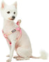 Blueberry Pet Step-in Velvety Polka Dot Flocking Dog Harness, Baby Pink, Chest Girth 26" - 39", Large, Adjustable