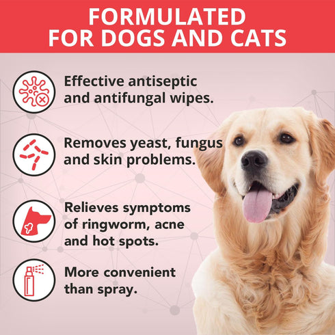 NOVEHA XL Cleansing Wipes with Aloe for Cats and Dogs - 120 Count Extra Large Size Wipes for Facial and Underarms