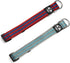 Regal Dog Products Large Pet Collar with Custom Engraved Buckle | Durable Twill Collars for Small Medium Large Dogs