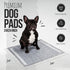 Bulldoglogy Carbon Black Puppy Pee Pads with Adhesive Tape, Large Charcoal Housebreaking Pads (24x24, 100-Count)