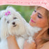 100 Pieces Dog Bows, Cute Dog Puppy Hair Bows, Multicolor Girl Dog Accessories, Small Dog Hair Bows with Strong Rubber