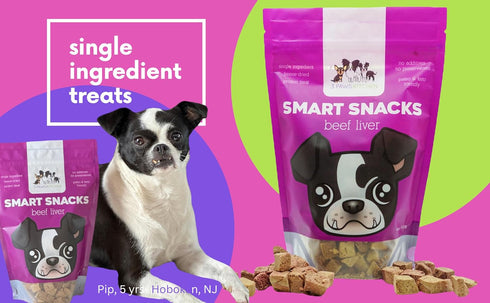 Freeze Dried Dog Treats, Single Ingredient Beef, Healthy, High Value, Made in the USA – 4 Ounce