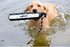 3" Dummy (02736) Avery ASD HexaBumper Hunting Sporting Gun Dog Game Retriever | Water & Upland Mark Training Retrieval