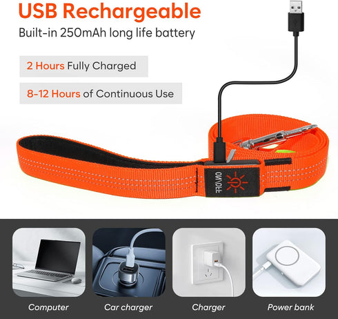 LED Light Up Dog Leash, USB Rechargeable, 3 Lighting Modes, Glow in The Dark for Pets