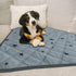 20x28 Inch(4pack) RIOUSSI Washable Pee Pads for Dogs, Reusable, Absorbent, Leakproof, Non Slip Pet Puppy Pads for Potty