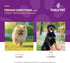 NaturVet VitaPet Senior Daily Vitamins for Senior Dogs, Plus Glucosamine, 60 Time Release Tablets
