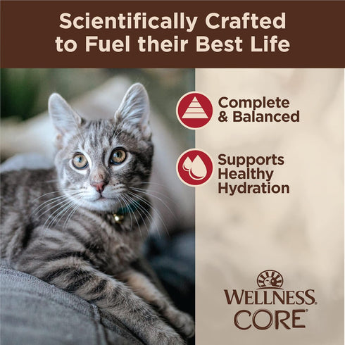 Wellness CORE Tiny Tasters Wet Cat Food, Complete & Balanced Natural Pet Food, 1.75-Ounce Pouch, 12 Pack (Minced
