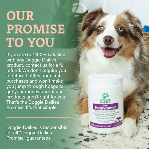 Doggie Dailies 5 in 1 Multivitamin for Dogs, 225 Soft Chews - Supports Skin & Coat, Joint Health, Digestion, Immune